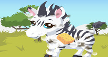 Cuidar-de-uma-zebra